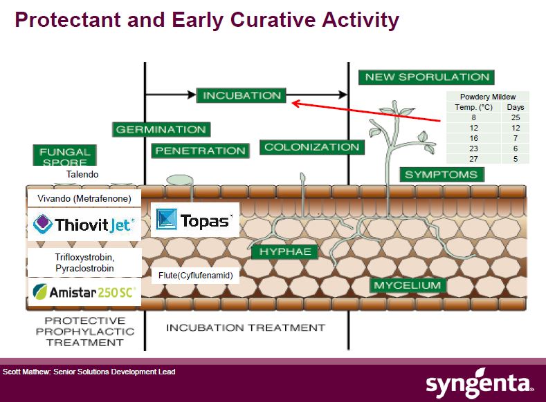 syngenta spray application